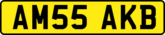 AM55AKB