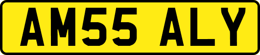 AM55ALY