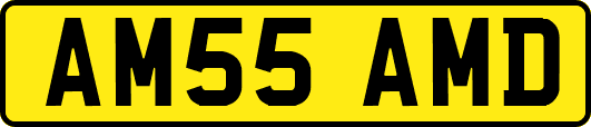AM55AMD