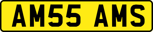 AM55AMS