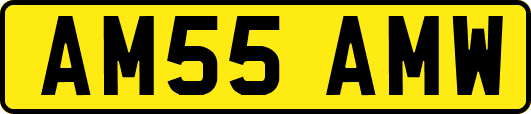 AM55AMW