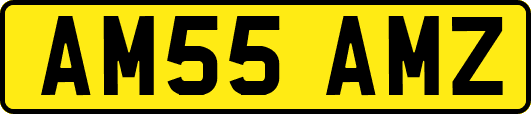 AM55AMZ