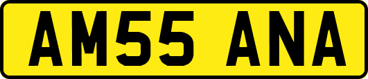 AM55ANA