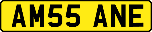 AM55ANE