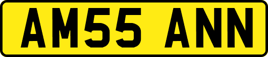 AM55ANN