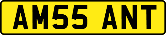 AM55ANT
