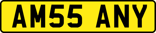 AM55ANY
