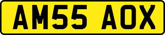 AM55AOX