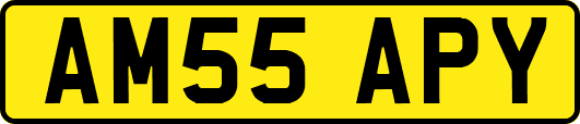 AM55APY