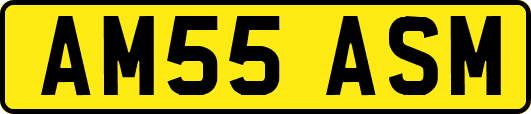 AM55ASM