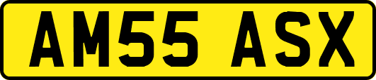 AM55ASX