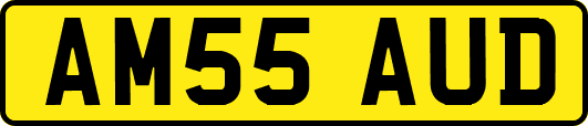 AM55AUD