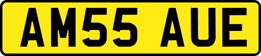 AM55AUE
