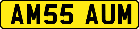 AM55AUM