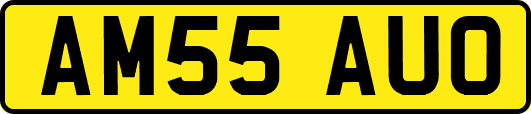 AM55AUO