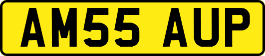 AM55AUP
