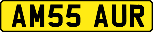 AM55AUR