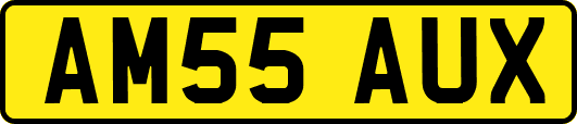 AM55AUX