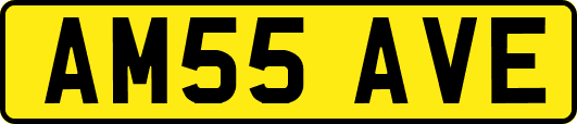 AM55AVE