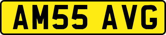 AM55AVG