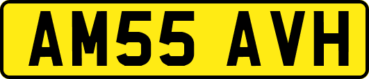 AM55AVH
