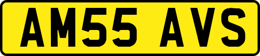 AM55AVS