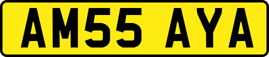 AM55AYA