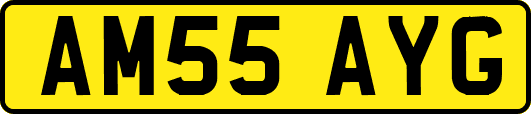 AM55AYG