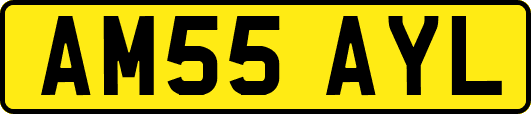 AM55AYL