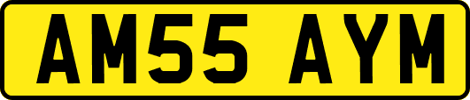 AM55AYM