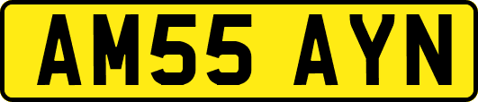 AM55AYN