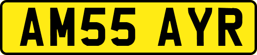 AM55AYR