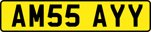 AM55AYY