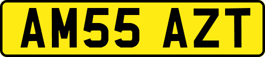 AM55AZT