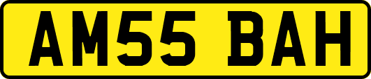 AM55BAH