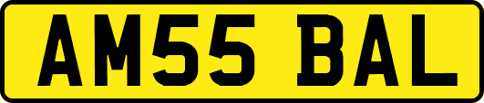 AM55BAL