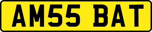 AM55BAT