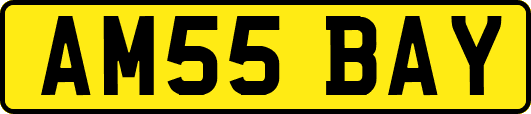 AM55BAY