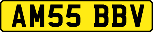 AM55BBV