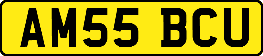 AM55BCU