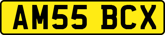 AM55BCX