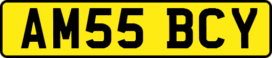 AM55BCY