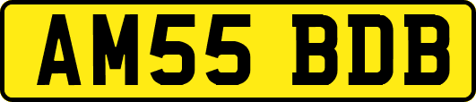 AM55BDB