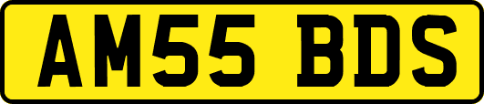 AM55BDS