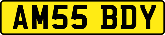AM55BDY