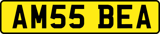 AM55BEA