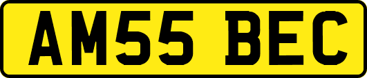AM55BEC