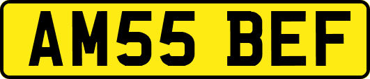 AM55BEF