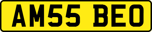 AM55BEO