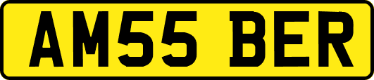 AM55BER